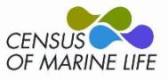 CML Logo