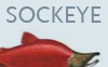 Visual Sockeye