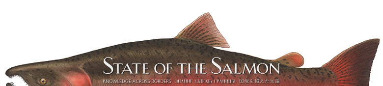 State of the Salmon