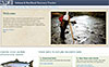 OR Salmon Recovery Tracker