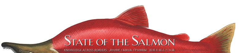 State of the Salmon